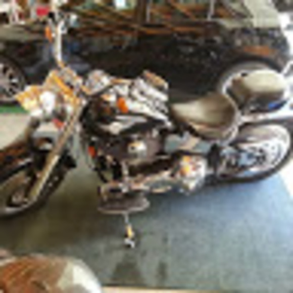 Meet your Posher, Armando - Picture 1 of 1